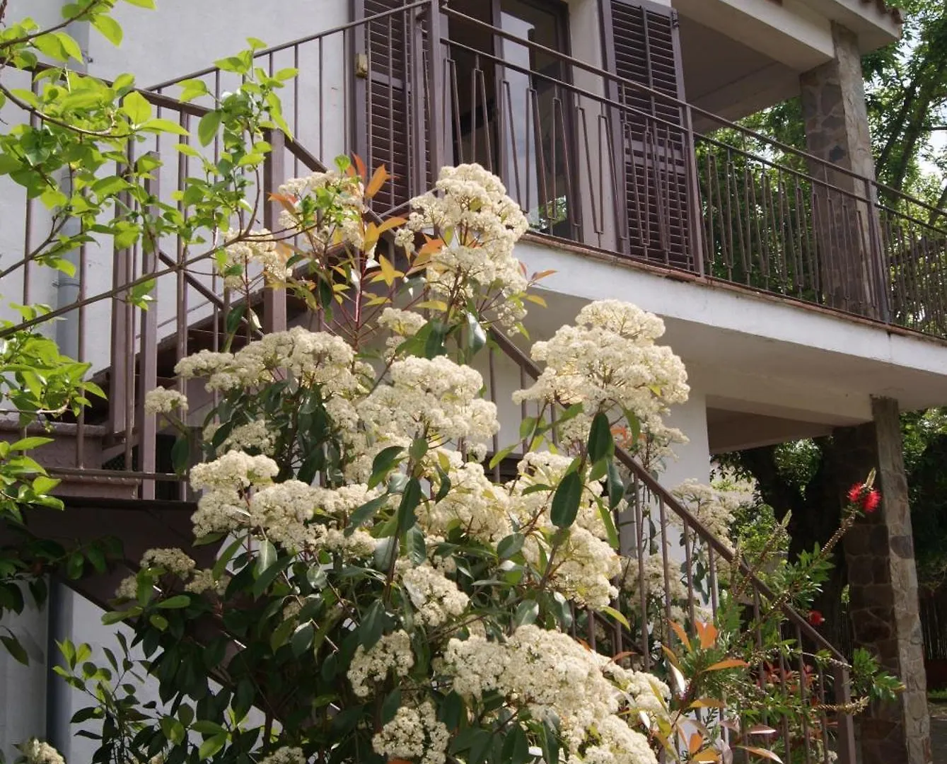 Apartamento con encanto l'Estany Banyoles